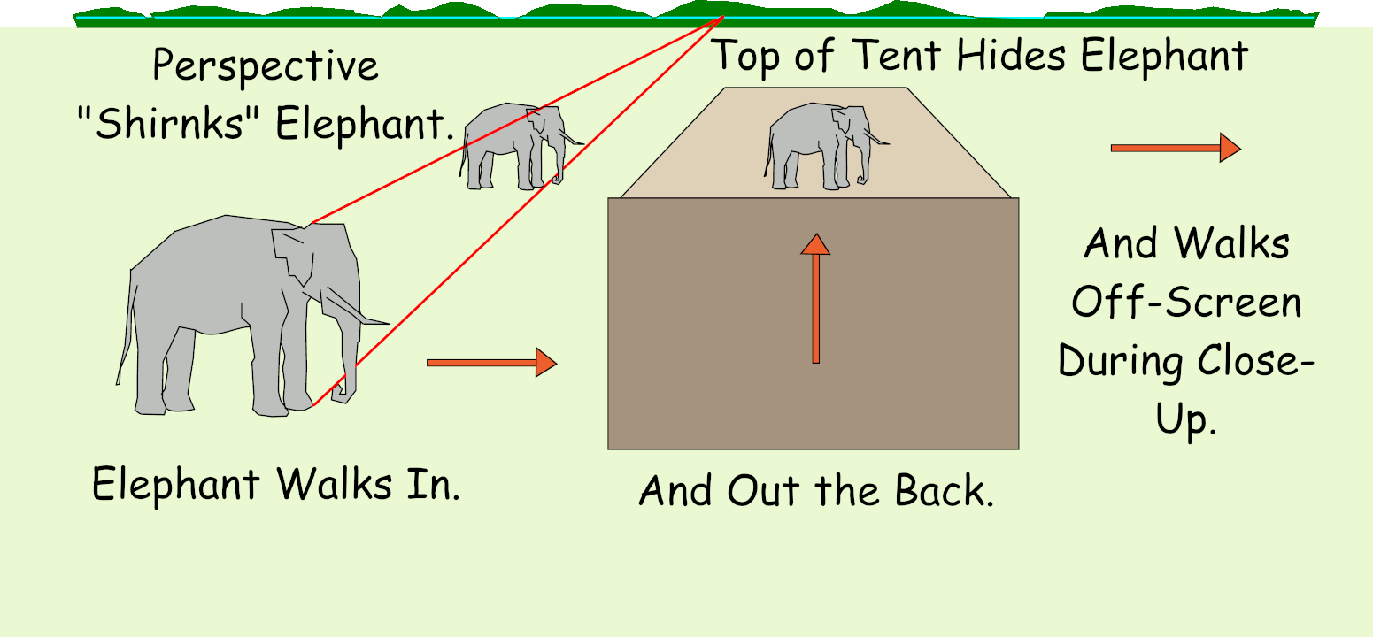 Disappearing Elephant - Small Screen Version