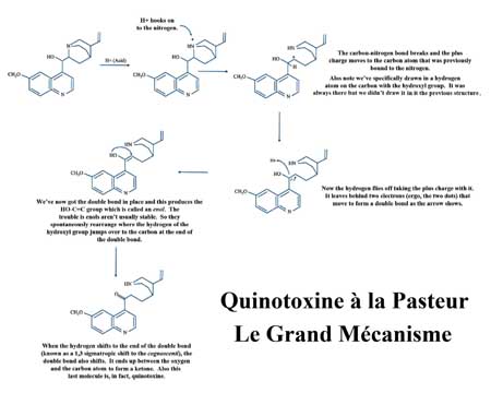 Quintotoxine Synthesis by Pasteur