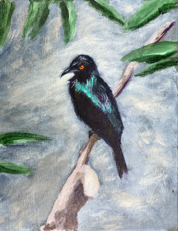 Asian Glossy Starling - Acrylic Painting