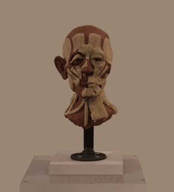 Animated Ecorche Portrait Bust