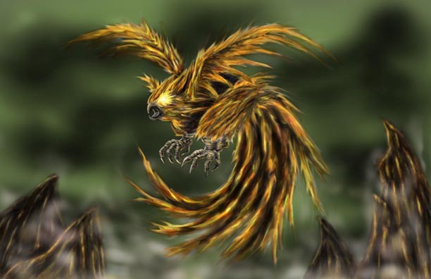 realistic phoenix bird drawings