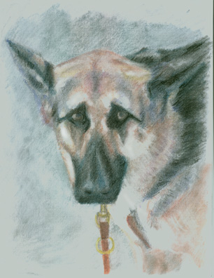 Trixie the Guide Dog - Pastel Study